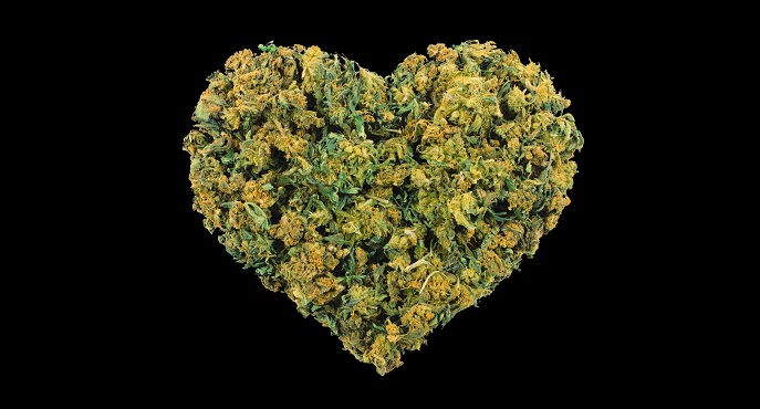 Marijuana May Muddle A Chest Pain Diagnosis CTA Study Hints Tctmd